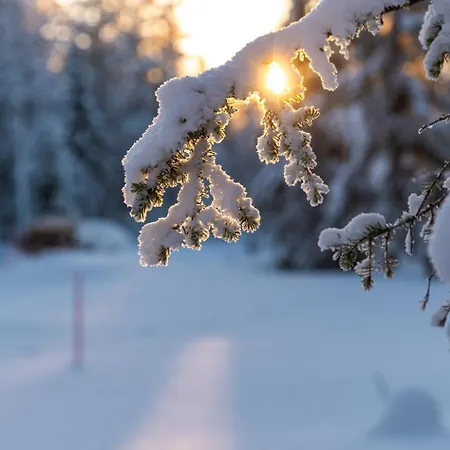 Halla Chalet, Northern Lights, & Lake, Free Wifi, Vuosseli Ruka Chalet *