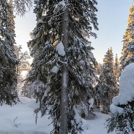 Halla Chalet, Northern Lights, & Lake, Free Wifi, Vuosseli Ruka *