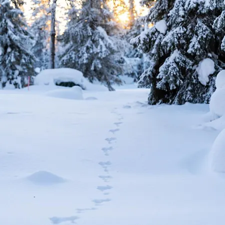 Chalet Halla Chalet, Northern Lights, & Lake, Free Wifi, Vuosseli Ruka *