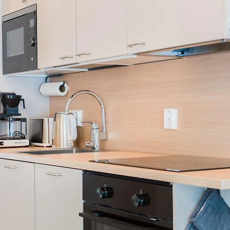 Halla Chalet, Northern Lights, & Lake, Free Wifi, Vuosseli Ruka Chalet *