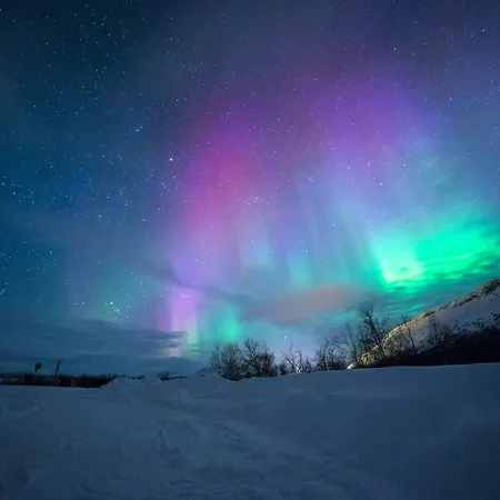 Alpehytte Halla Chalet, Northern Lights, & Lake, Free Wifi, Vuosseli Ruka