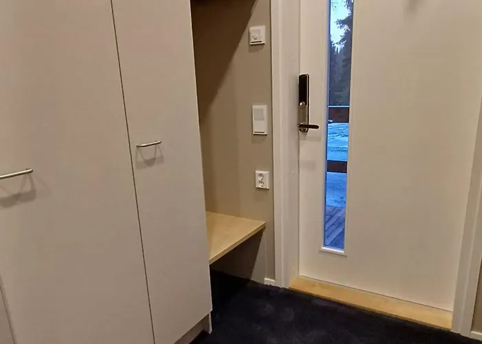 Halla Chalet, Northern Lights, & Lake, Free Wifi, Vuosseli Ruka *