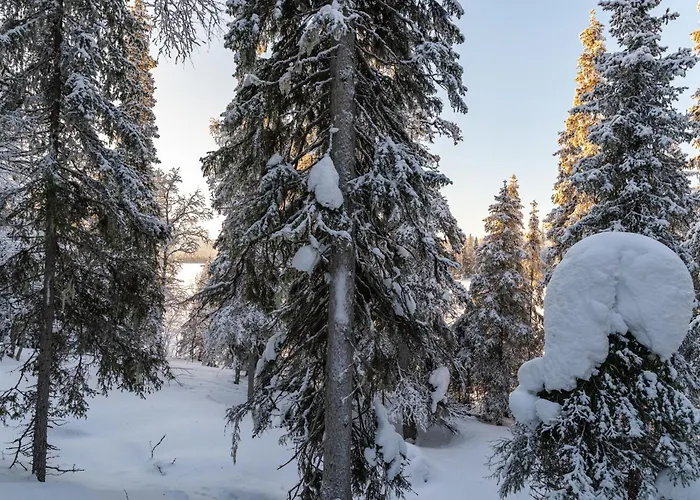 Halla Chalet, Northern Lights, & Lake, Free Wifi, Vuosseli Ruka *