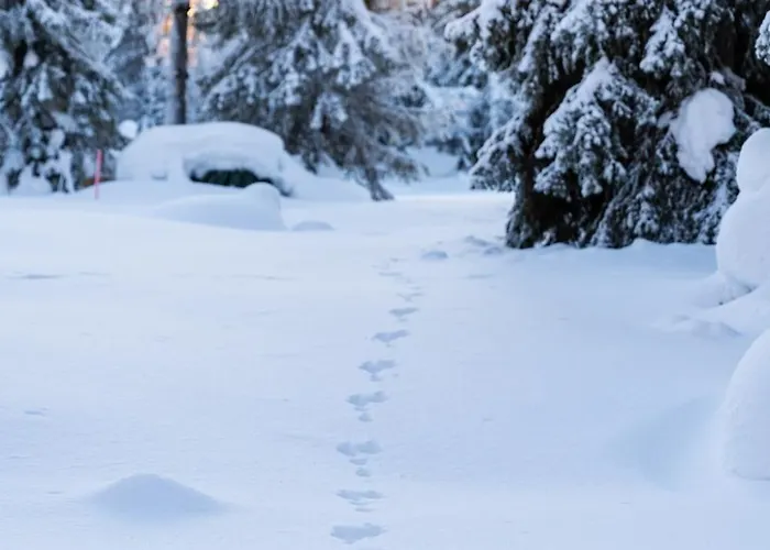 Alpstuga Halla Chalet, Northern Lights, & Lake, Free Wifi, Vuosseli Ruka *