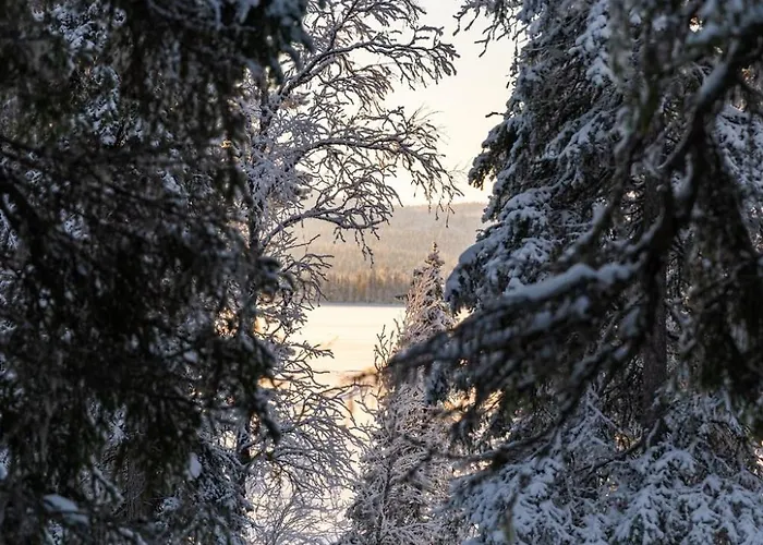 Alpstuga Halla Chalet, Northern Lights, & Lake, Free Wifi, Vuosseli Ruka *