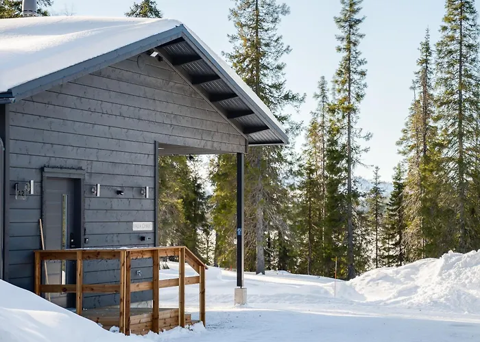 Halla Chalet, Northern Lights, & Lake, Free Wifi, Vuosseli Ruka