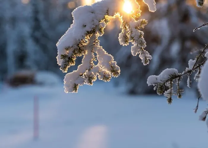 Halla Chalet, Northern Lights, & Lake, Free Wifi, Vuosseli Ruka Kuusamo