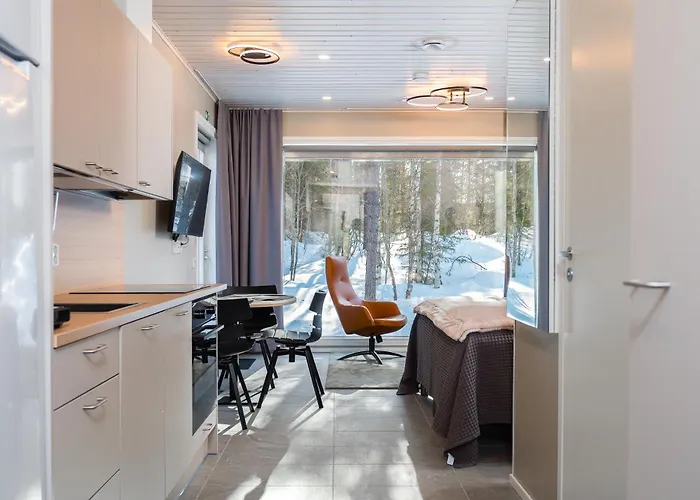 Halla Chalet, Northern Lights, & Lake, Free Wifi, Vuosseli Ruka *